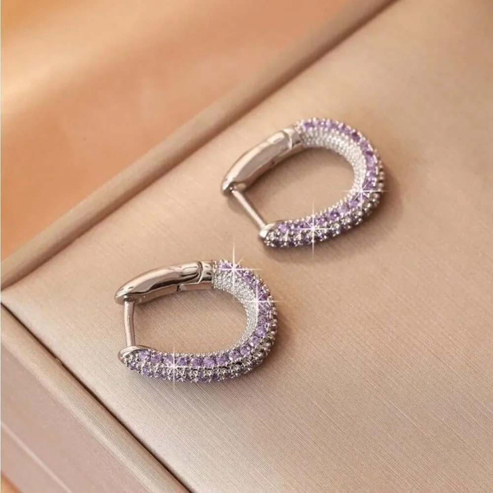 Purple Hoop Earrings Q723